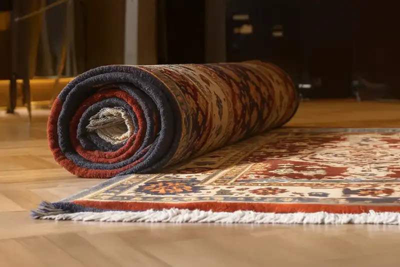 A patterned area rug partially rolled up on a wooden floor, with the edge showing fringed ends and decorative designs in red, blue, and cream.